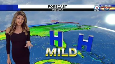 Local 10 News Weather Brief: 01/17/2023 Morning Edition