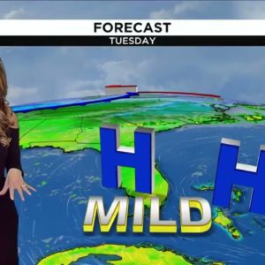 Local 10 News Weather Brief: 01/17/2023 Morning Edition