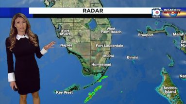 Local 10 Weather: 1/24/2023 Morning Edition