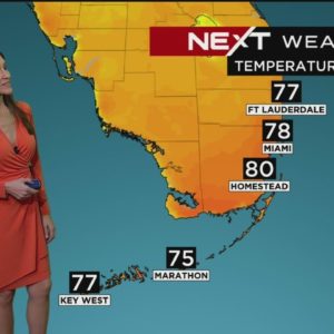 NEXT Weather: Miami + South Florida Forecast - Monday Afternoon 1/9/23
