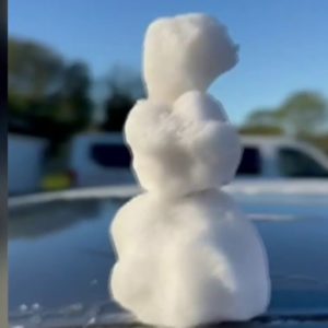 Orlando man makes 'snowman' during Florida blast of cold