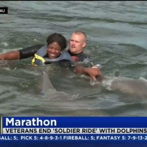 Wounded Warriors Florida Keys Soldier Ride Ends With Swim With Dolphins