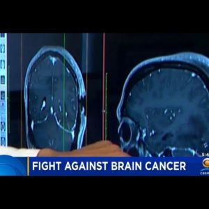 Scientists Nearing Breakthrough In Fight Against Brain Cancer