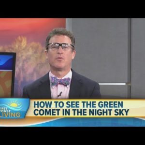 Stargazer's Delight: The Green Comet