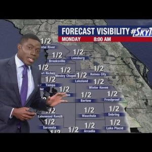 Tampa's Monday morning forecast