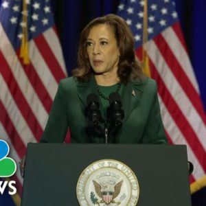 'This violence must stop:' Harris addresses Monterey Park mass shooting