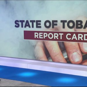 Tobacco use in Florida & Georgia