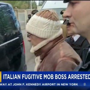 Top Italian Mob Boss In Custody