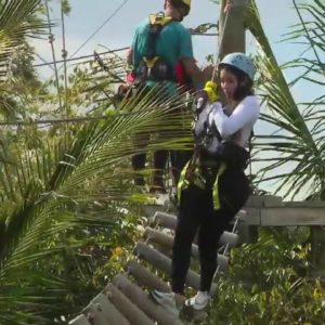 Treetrop Trekking Miami brings big thrills to South Florida