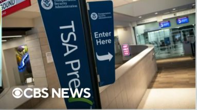 TSA reports record number of gun seizures at airports