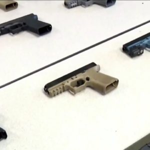 Florida lawmakers move to let gun owners carry without permit in 'Constitutional Carry' bill