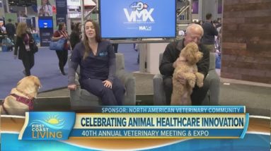 VMX 2023: Celebrating Longer & Healthier Lives for our Pets