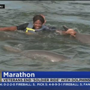 Wound Warrior's Florida Keys Soldier Ride ends with dolphins