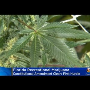 Florida recreational cannabis proposal clears initial hurdle