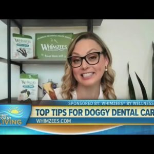 Prioritize Pet Dental Health