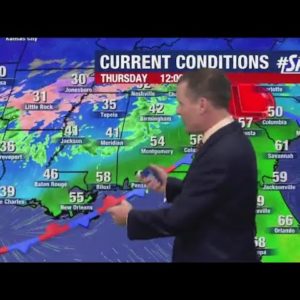 Tampa Bay forecast: Thursday, Feb. 2 - Groundhog Day