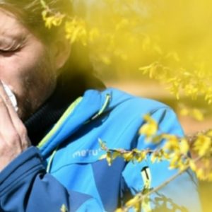 Allergy season affecting millions as spring blooms
