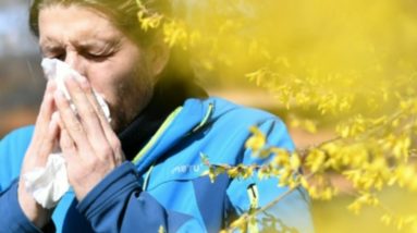 Allergy season affecting millions as spring blooms