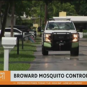 Broward mosquito control spraying after torrential rains