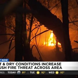 Fire burns near homes in Central Florida