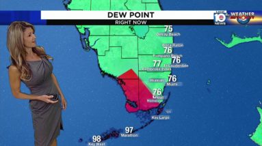 Local 10 News Weather: 08/18/2023 Morning Edition