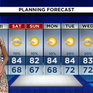 Local 10 News Weather :11/17/2023 Morning Edition
