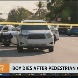 12-year-old boy, who was struck by car near Biscayne Gardens Elementary school, dies