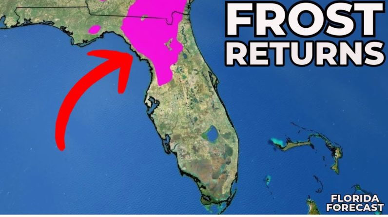 Florida Forecast: Frosty Night Ahead Of Next Cold Front