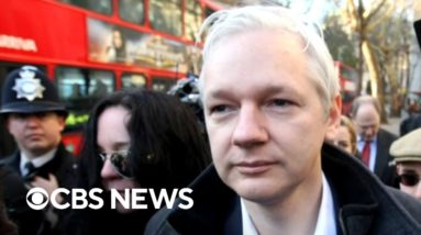 Julian Assange extradition hearing wraps up