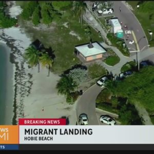 Migrant landing at Hobie Beach