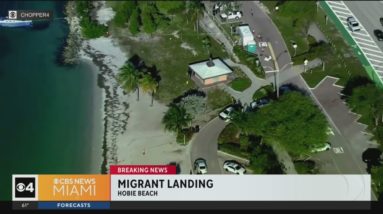 Migrant landing at Hobie Beach