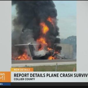 New report details Collier County plane crash survivors' escape