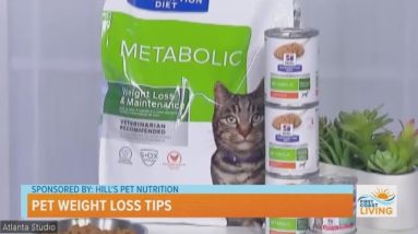 Pet Weight Loss Tips