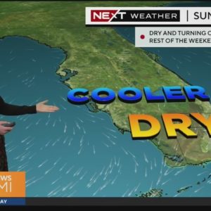 South Florida 9 a.m. Weather Forecast 2/21/2024
